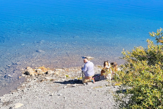 Author Lawrence Nault kneels beside his two rough collies, Laird and Skye, on the rocky shore of a clear glacier-fed lake in Alberta's Rocky Mountains. The trio faces the calm blue water, with the dogs sitting quietly beside him as he photographs the landscape. Sunlight illuminates the shoreline, and mountain shrubs frame the peaceful scene.