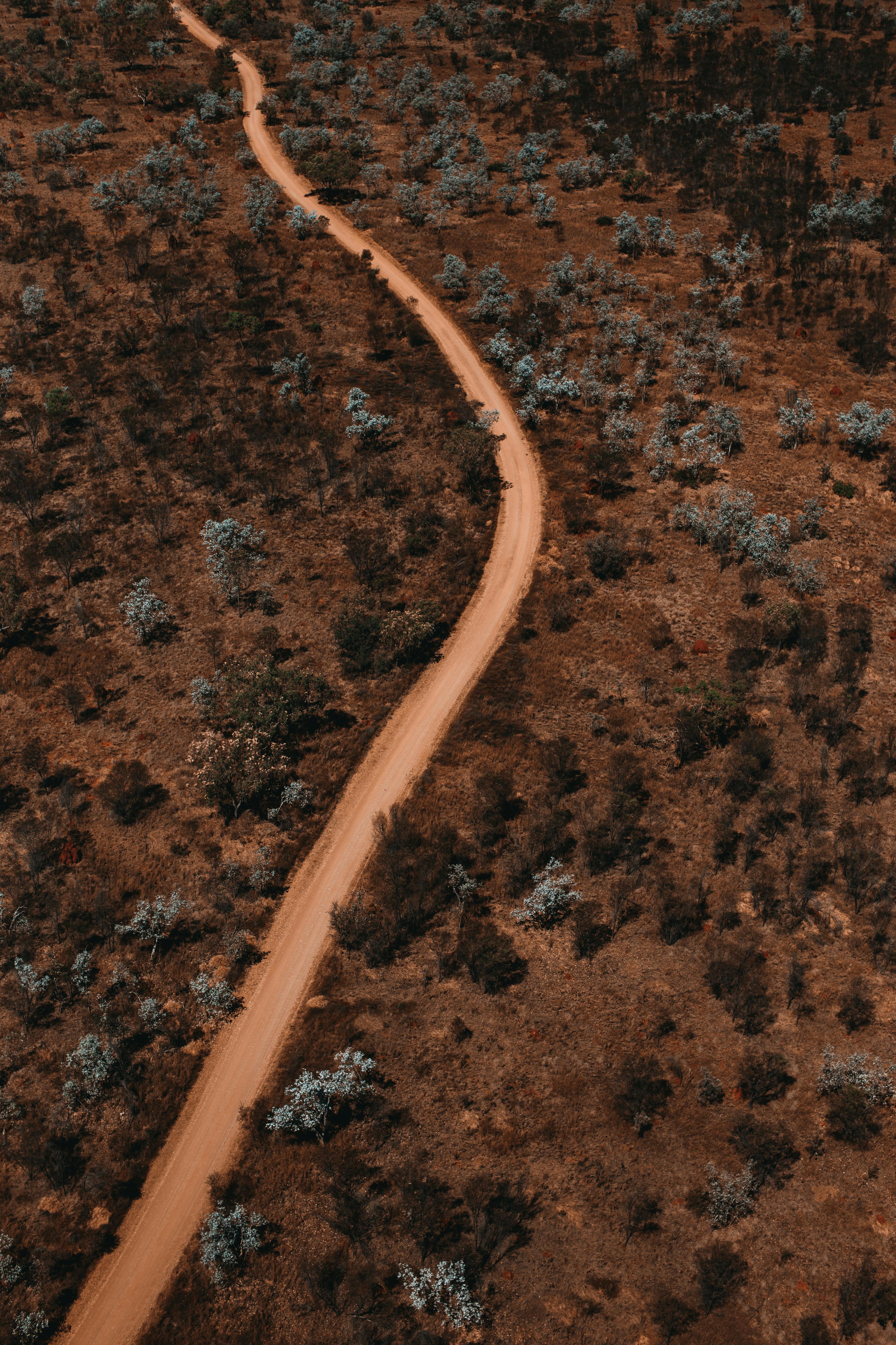A winding dirt road cuts through arid landscape dotted with sparse shrubs and small trees. The aerial view shows the red-orange earthen path snaking through the semi-desert terrain, with scattered green vegetation creating a mottled pattern across the rust-colored ground. The road curves gently as it extends into the distance, creating a striking contrast between the warm tones of the soil and the cooler greens of the drought-resistant plants that populate this dry, open countryside.